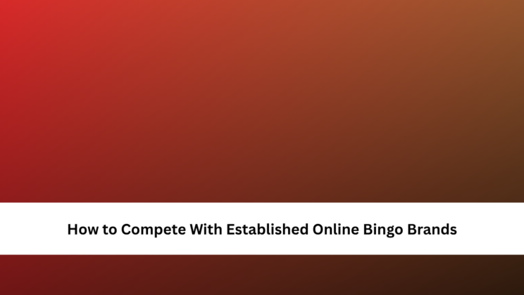 How to Compete With Established Online Bingo Brands