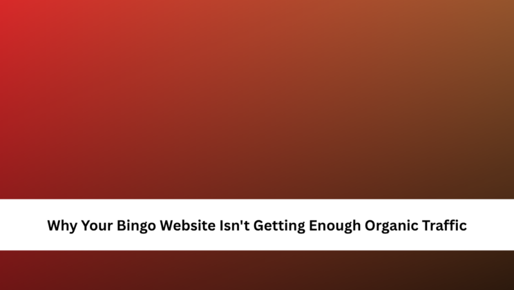 Why Your Bingo Website Isn’t Getting Enough Organic Traffic